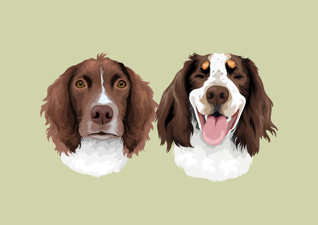 spaniel dogs custom pet portrait gift